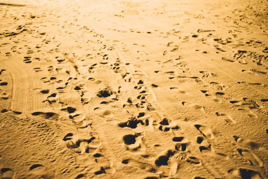 Covering Tracks