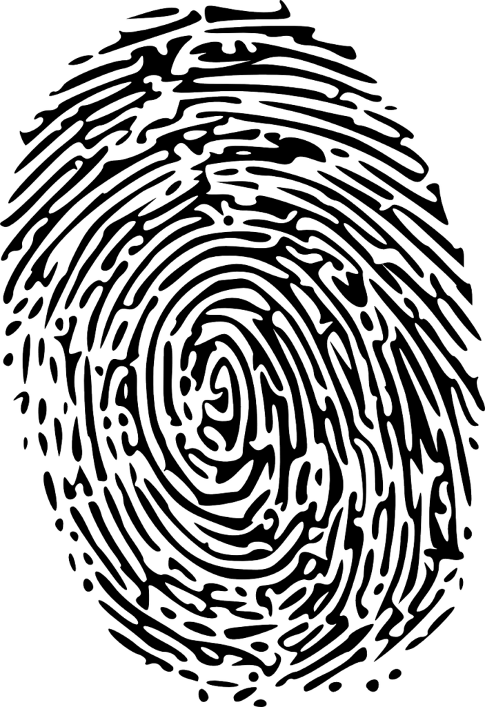 Secure Passwords should be as unique as your fingerprint