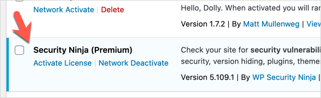 Choose Activate License in plugins page
