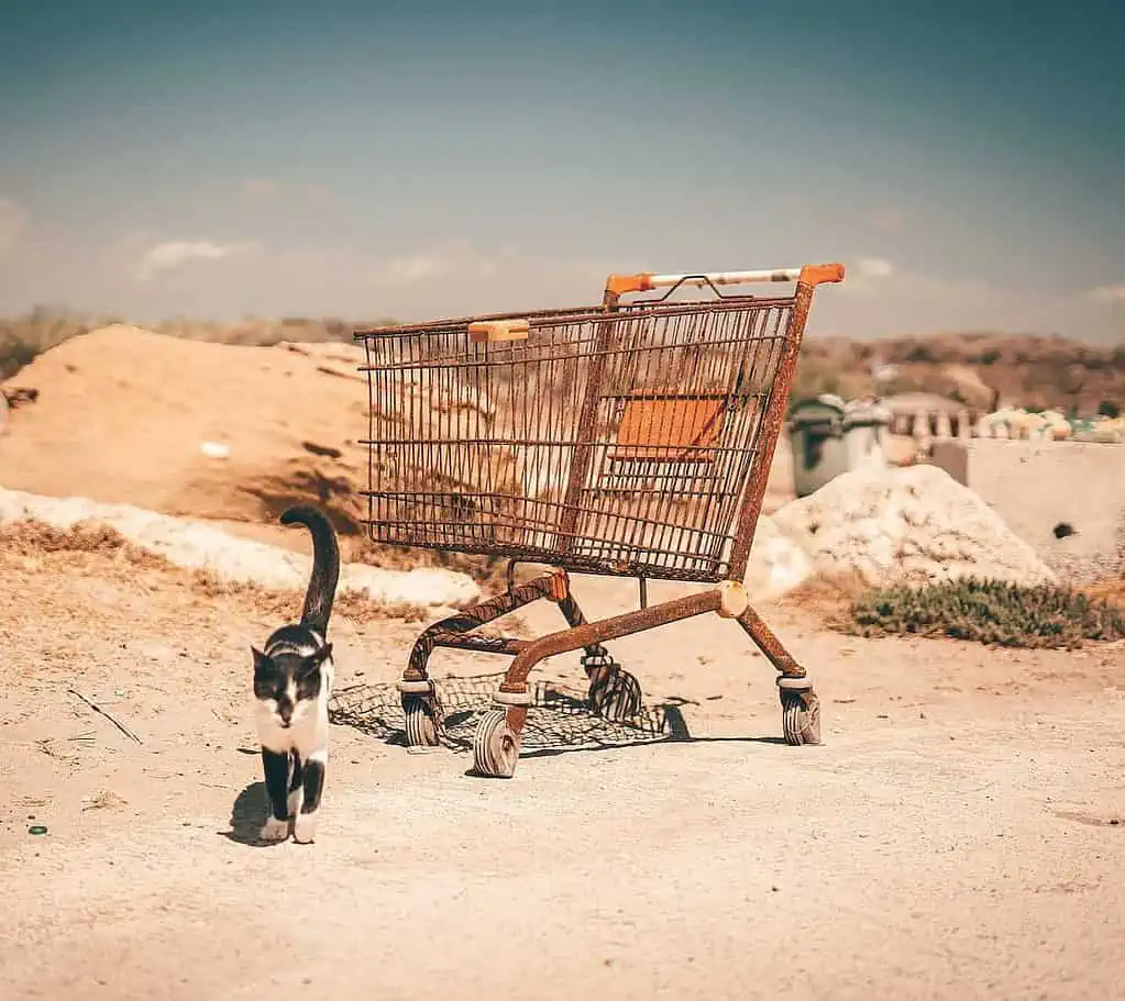 An Abandoned Shopping Cart and a Cat on Dirt Ground