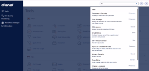 Hosting-Environment-Security