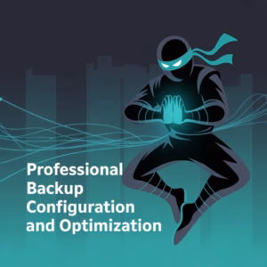 Ninja Professional Backup Configuration and Optimization
